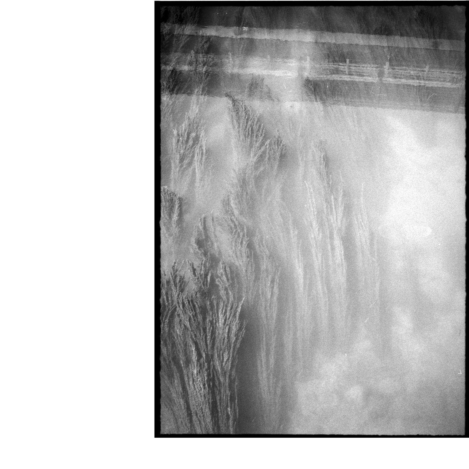 pod vodou, 08/2025 ©daviddoros