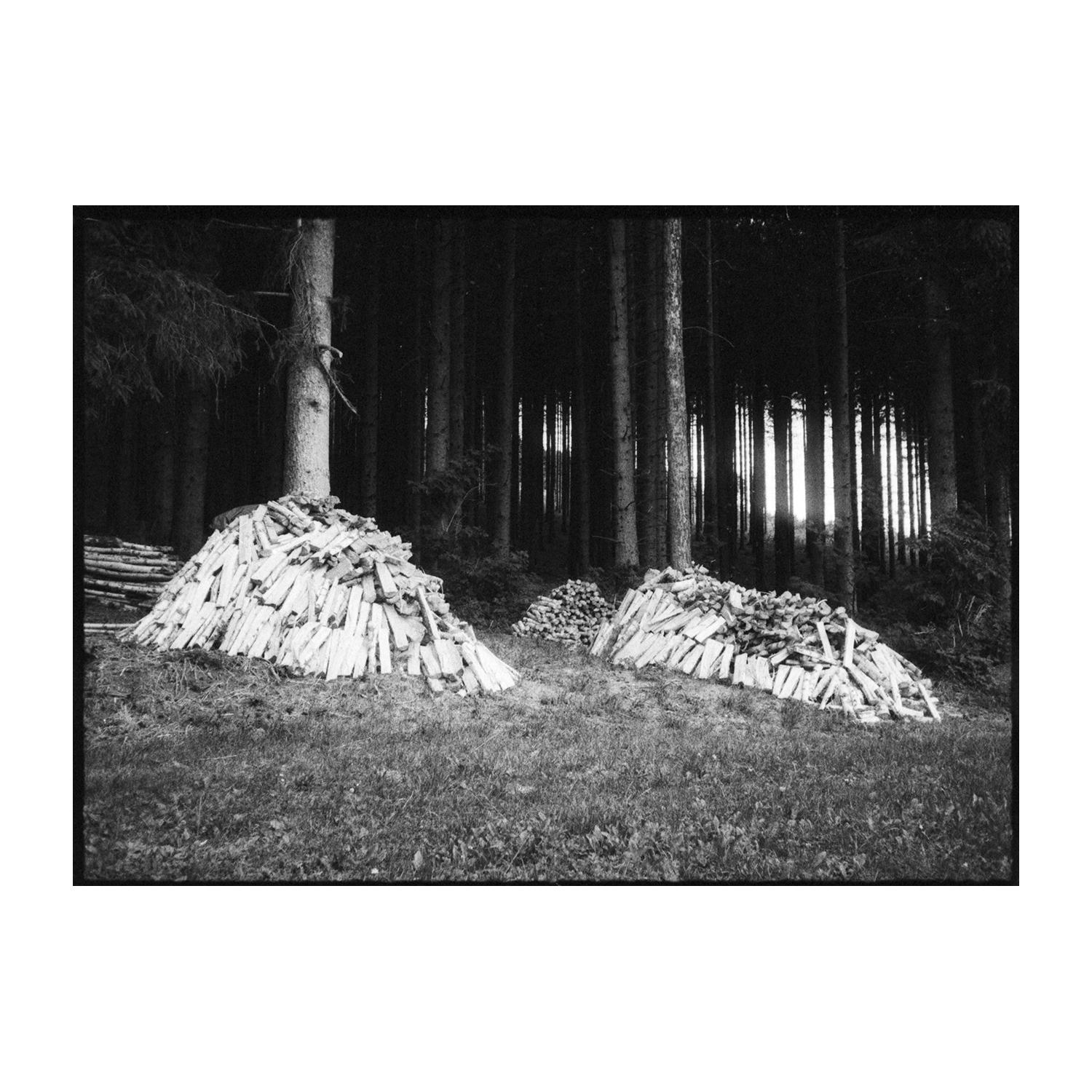 les, 07/2025 ©daviddoros