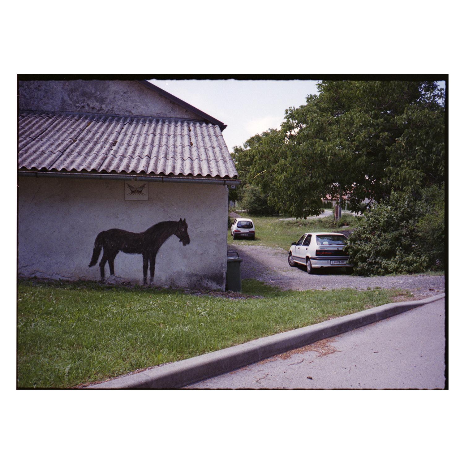 Slovinsko, 07/2025 ©daviddoros